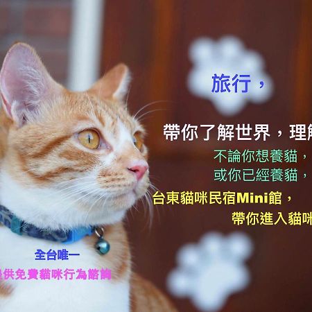 貓咪民宿mini館-中午即可入房 Taitung Ngoại thất bức ảnh