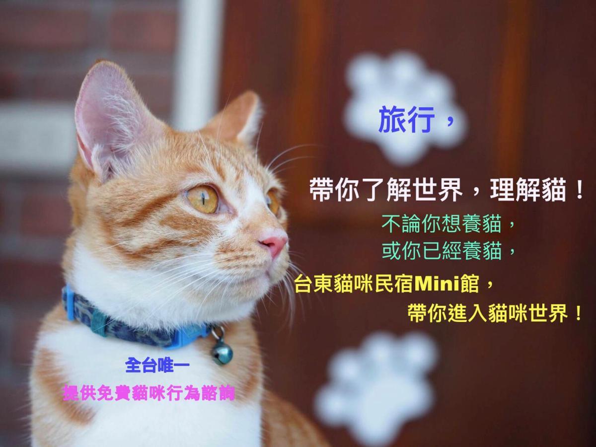 貓咪民宿mini館-中午即可入房 Taitung Ngoại thất bức ảnh