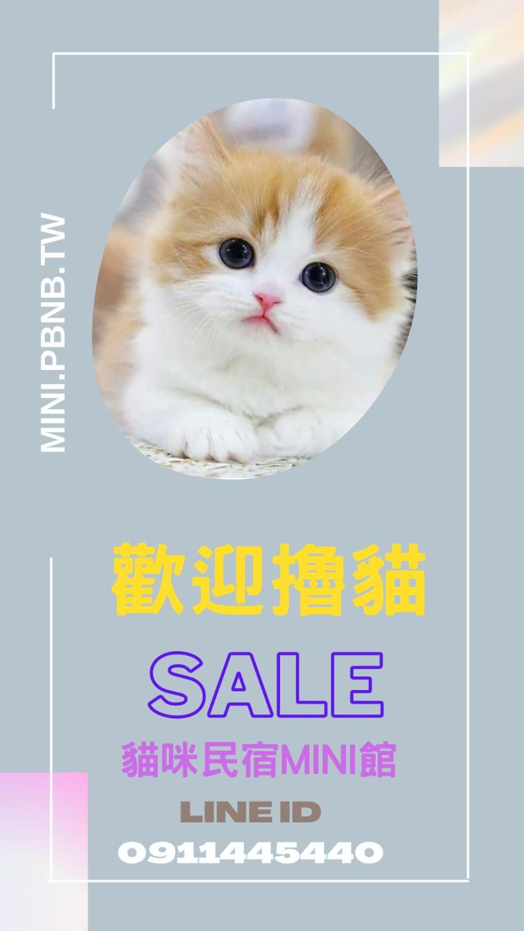 貓咪民宿mini館-中午即可入房 Taitung Ngoại thất bức ảnh