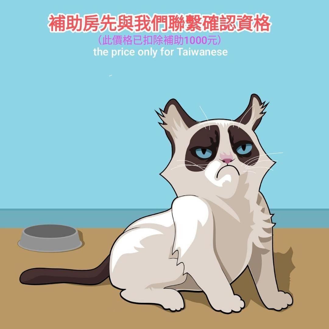 貓咪民宿mini館-中午即可入房 Taitung Ngoại thất bức ảnh