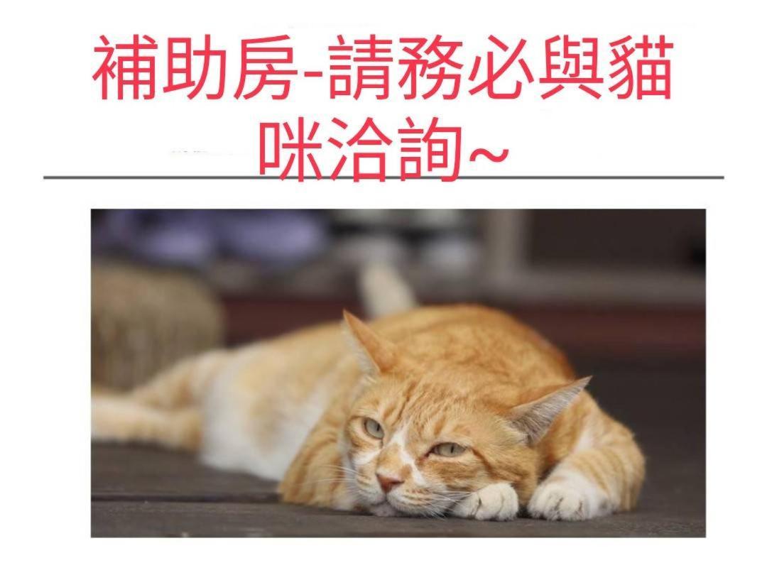 貓咪民宿mini館-中午即可入房 Taitung Ngoại thất bức ảnh